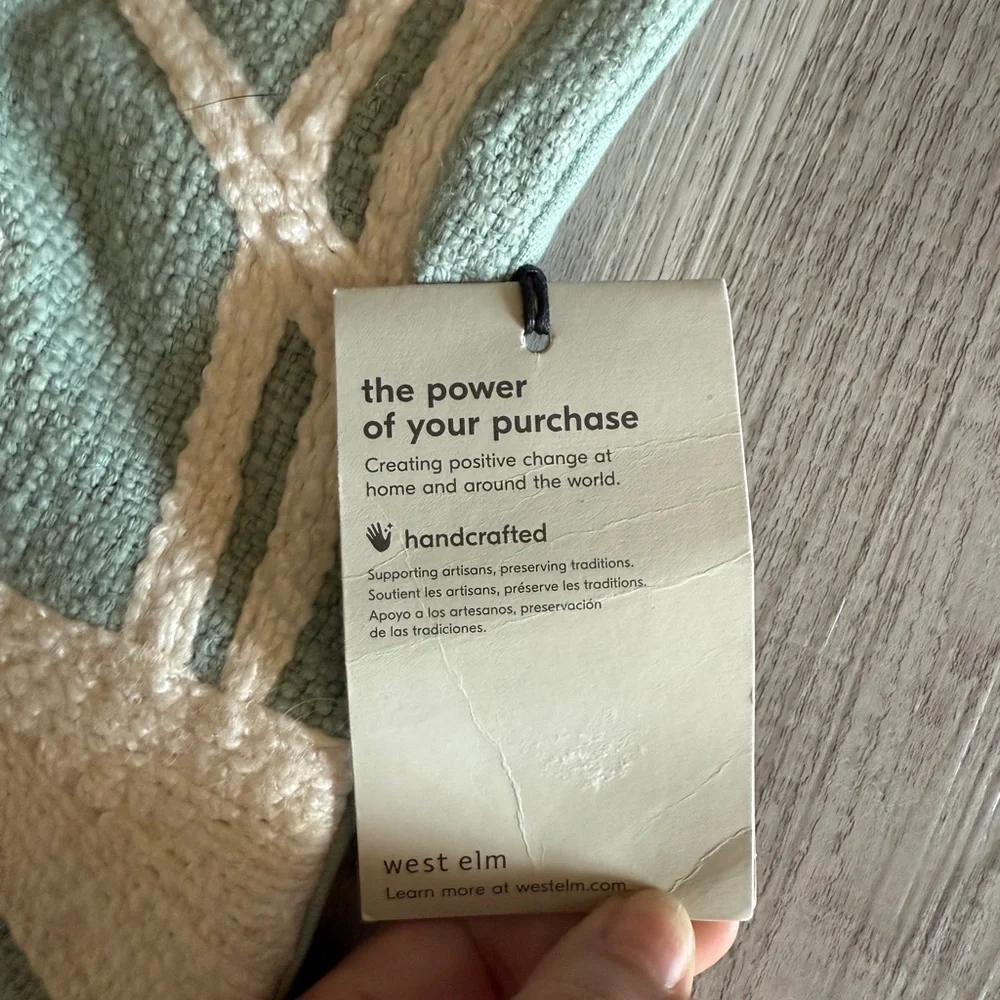 West Elm elegant pillow